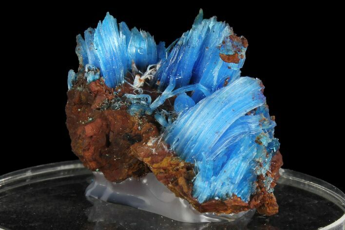 Vibrant Blue Chalcanthite - Planet Mine, Arizona #176495
